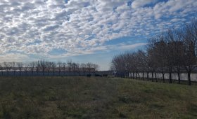 76 ha. en Dto. Uruguay